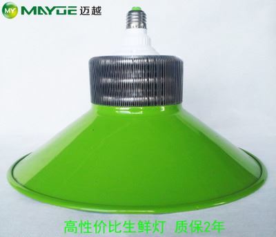 工礦燈/生鮮燈套件：專業豬肉燈外殼，提升生鮮展示照明效果